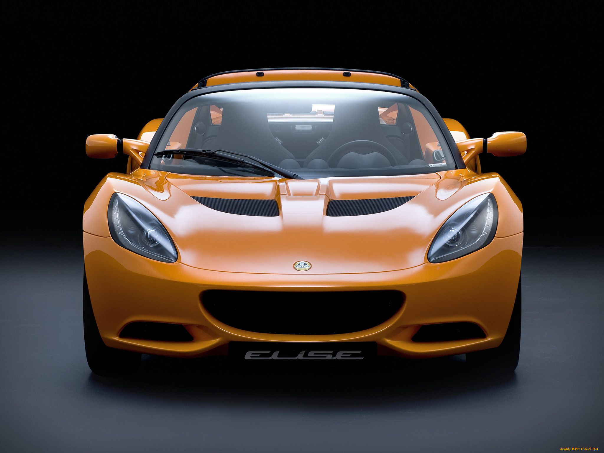 , lotus